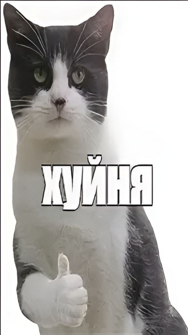 Ху..ня случается